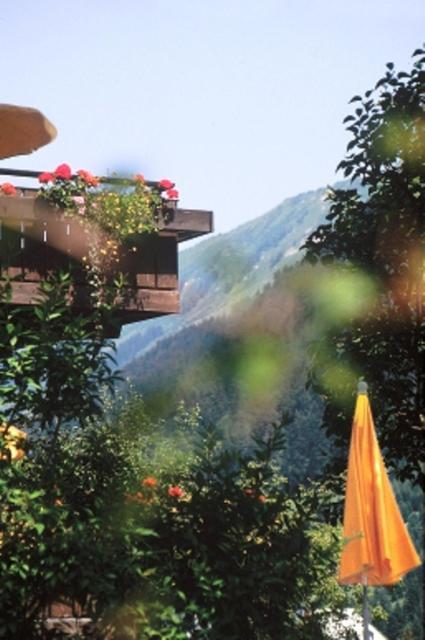 Hotel Adler Garni Hirschegg Rein المظهر الخارجي الصورة